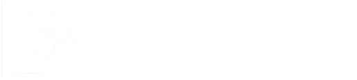 Horoz Lojistik
