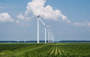 A beautiful view of the wind turbines on a grass covered field captured in Holland